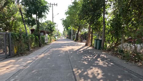 a calm walk down a tree-lined residential street