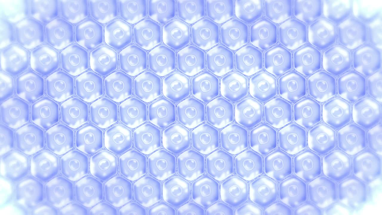 인간 피부 세포: 세포막을 가진 각 세포, 세포 치료, 질병 치료, 핵과 진공, 재생, 루프 애니메이션