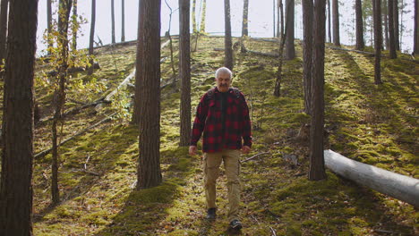 el excursionista de cabello gris está caminando solo en el bosque de otoño soleado paseando entre los árboles vista frontal de senderismo