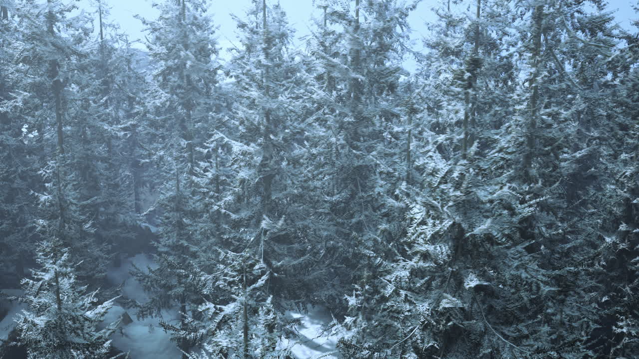 눈 인 숲 의 공중 풍경