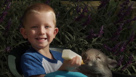 boy feeding a joey wombat gives a big smile to the camera