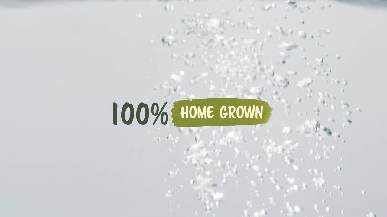 100% 가정에서 재배 된 텍스트의 애니메이션 과일이 물 배경에 떨어집니다.