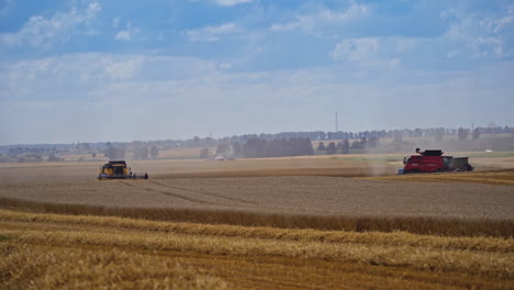 Combine harvesting wheat. Combine harvester at work harvesting field of wheat