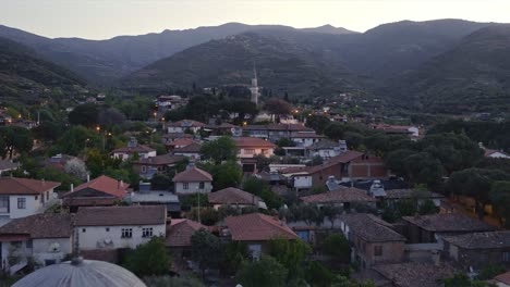 a village view with its mosque and renovated houses.