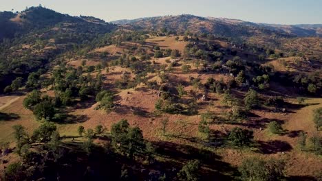 Braune,-Mit-Bäumen-Bedeckte-Vorbergberge-In-Tehachapi,-Kalifornien,-Luftzug