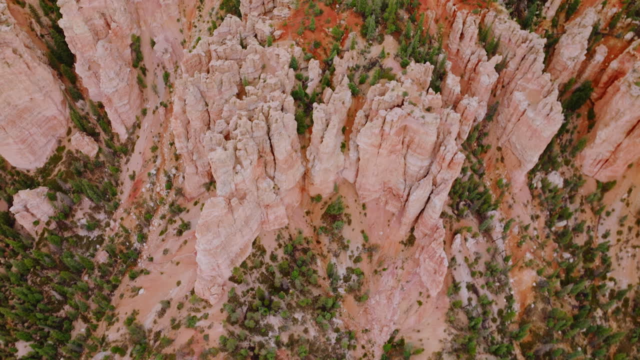 Bryce Canyon National park amazing rocks at daytime. Numerous pine trees growing among the cliffs. Aerial perspective.