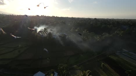 Espectacular-Toma-Aérea-De-La-Silueta-De-Pájaros-Voladores-Durante-El-Amanecer-En-El-Oeste-De-Nusa-Tenggara