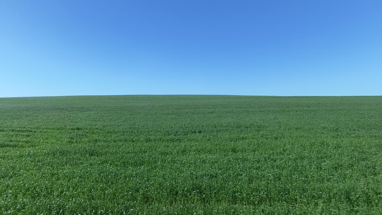 점점 더 초록색