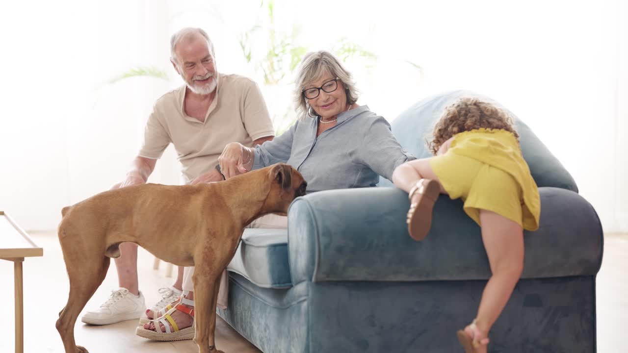 Grandparents spending time with their grandchild and dog