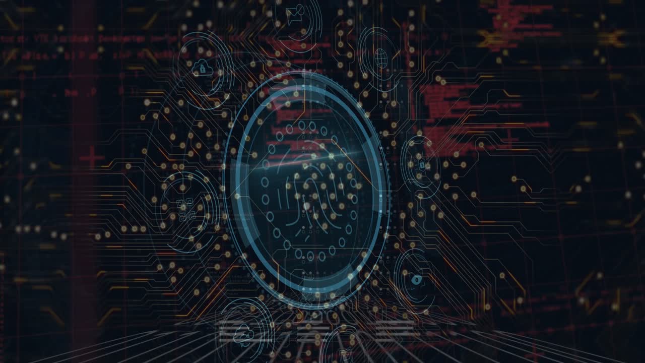 Animation of network of connections over data processing