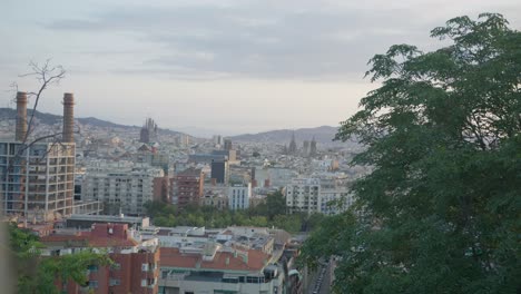hi res close view through scenic trees 2nd angle, barcelona spain city skyline with golden sunrise in 6k as birds fly