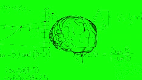 animation of mathematical equations and diagrams over human brain against green background