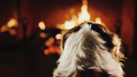 un perro mira el fuego en la chimenea