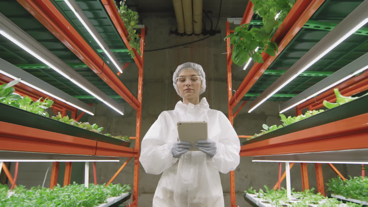 Greenhouse Worker Walking Along Vertical Farm
