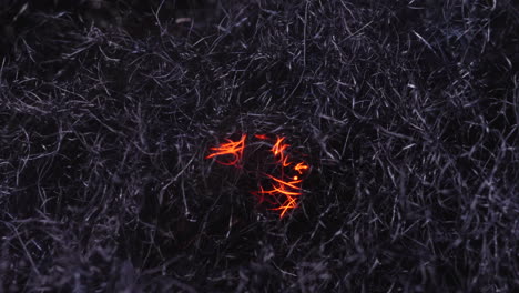 Flashing-Sparks-Move-And-Weave-Throughout-Curled-Strands-Of-Burn-Steel-Wool