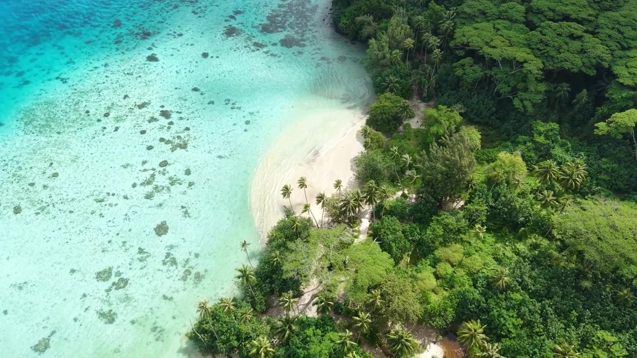 Drone View of Hana Iti Beach, Huahine Island, French Polynesia. Secret White Sand Shore Under Green Rainforest