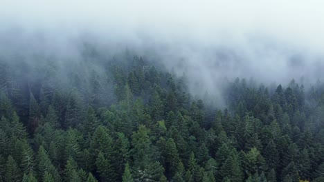 ascending aerial view of a dark mountain forest with big moody white clouds, in vosges, france, 4k