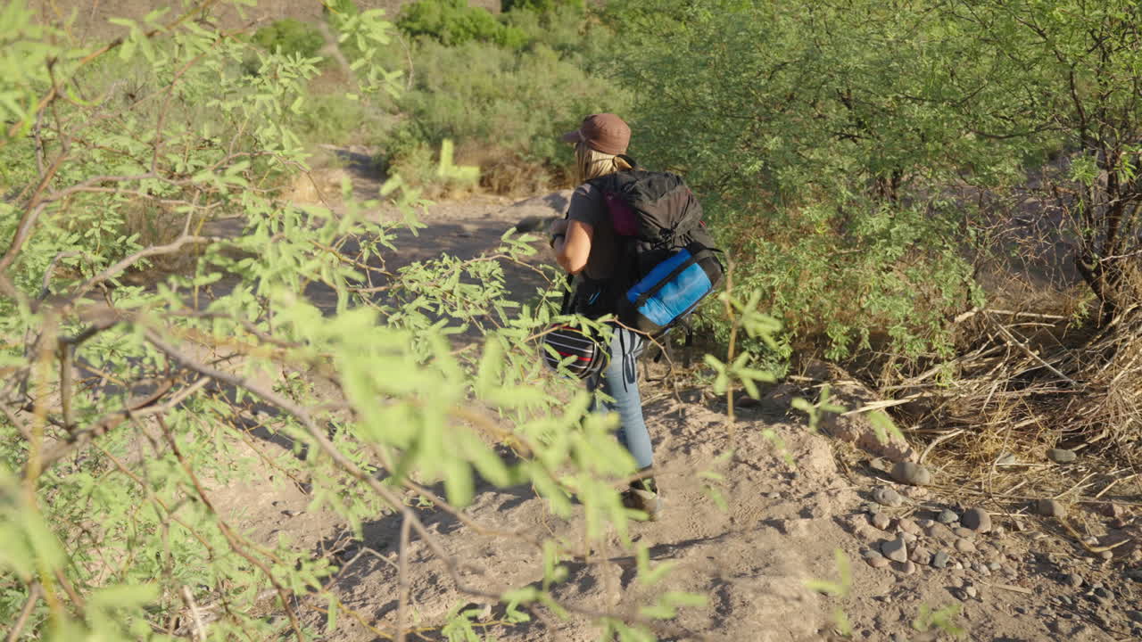 una caminata por el desierto con una mujer en el desierto bajo un sol mortalmente caliente a través de un árbol