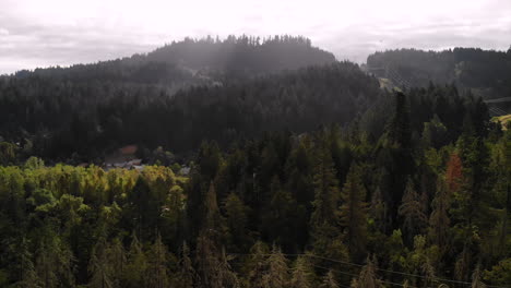 aerial view of a foggy forest landscape