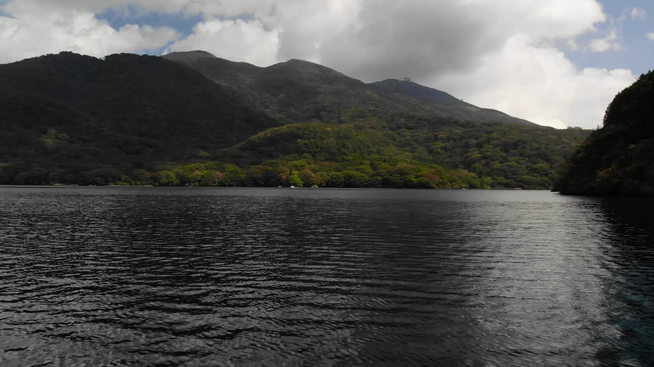 나무 기둥과 푸른 숲 언덕을 배경으로 날아다니는 아름다운 호수 위로 공중 포워드