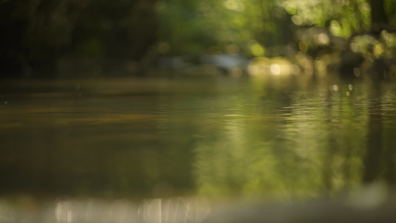 A serene river scene with blurred background