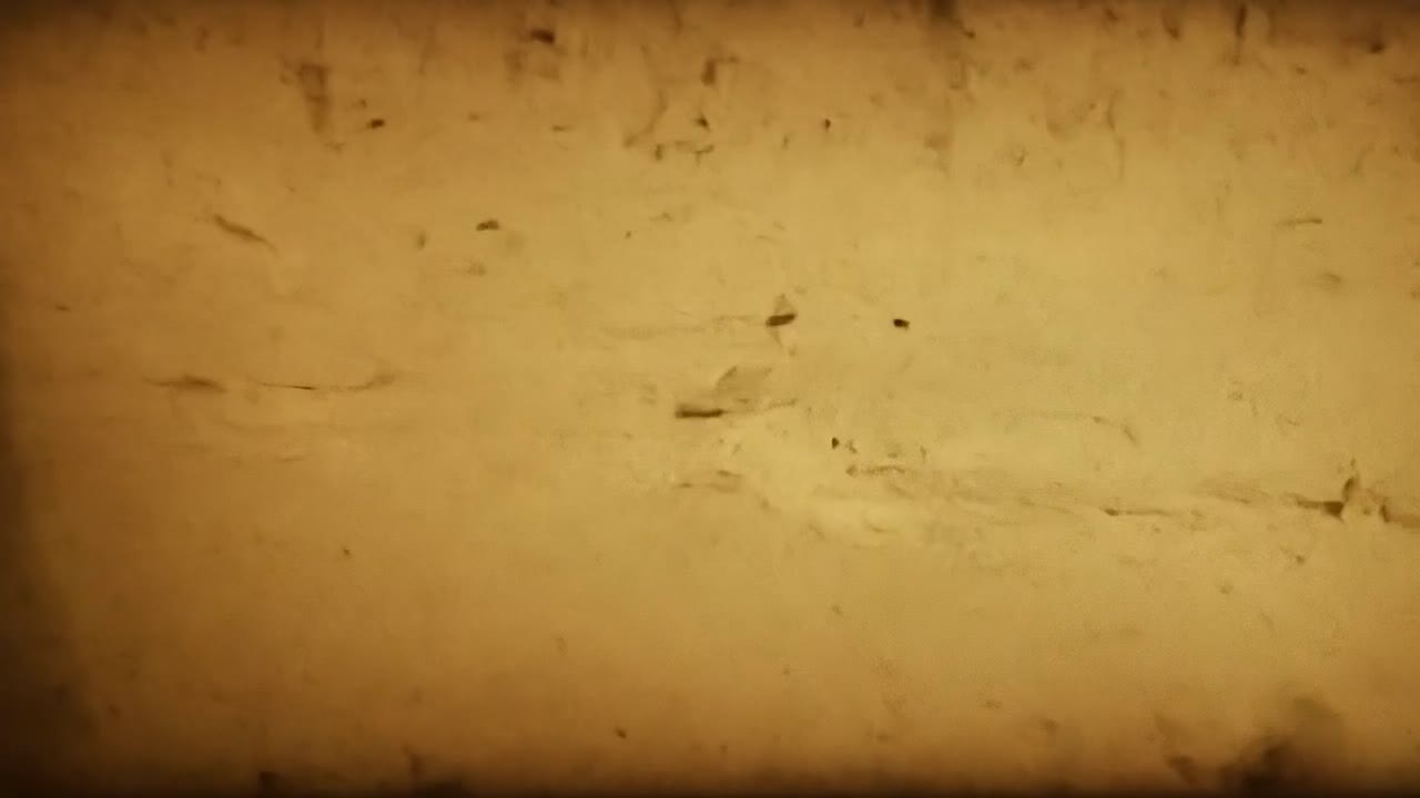 프로젝터에서 불타는 오래된 영화에서 박이는 빛이 나오고, 빈티지 영화에 대한 향수적인 분위기를 만니다.