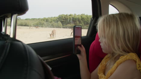 Girl filming deer from car window