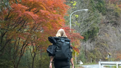 a woman walks through the nakasendo trail in japan, surrounded by vibrant red autumn foliage. the peaceful beauty of the japanese countryside comes alive during the fall season,.