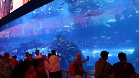 people observing marine life in large aquarium