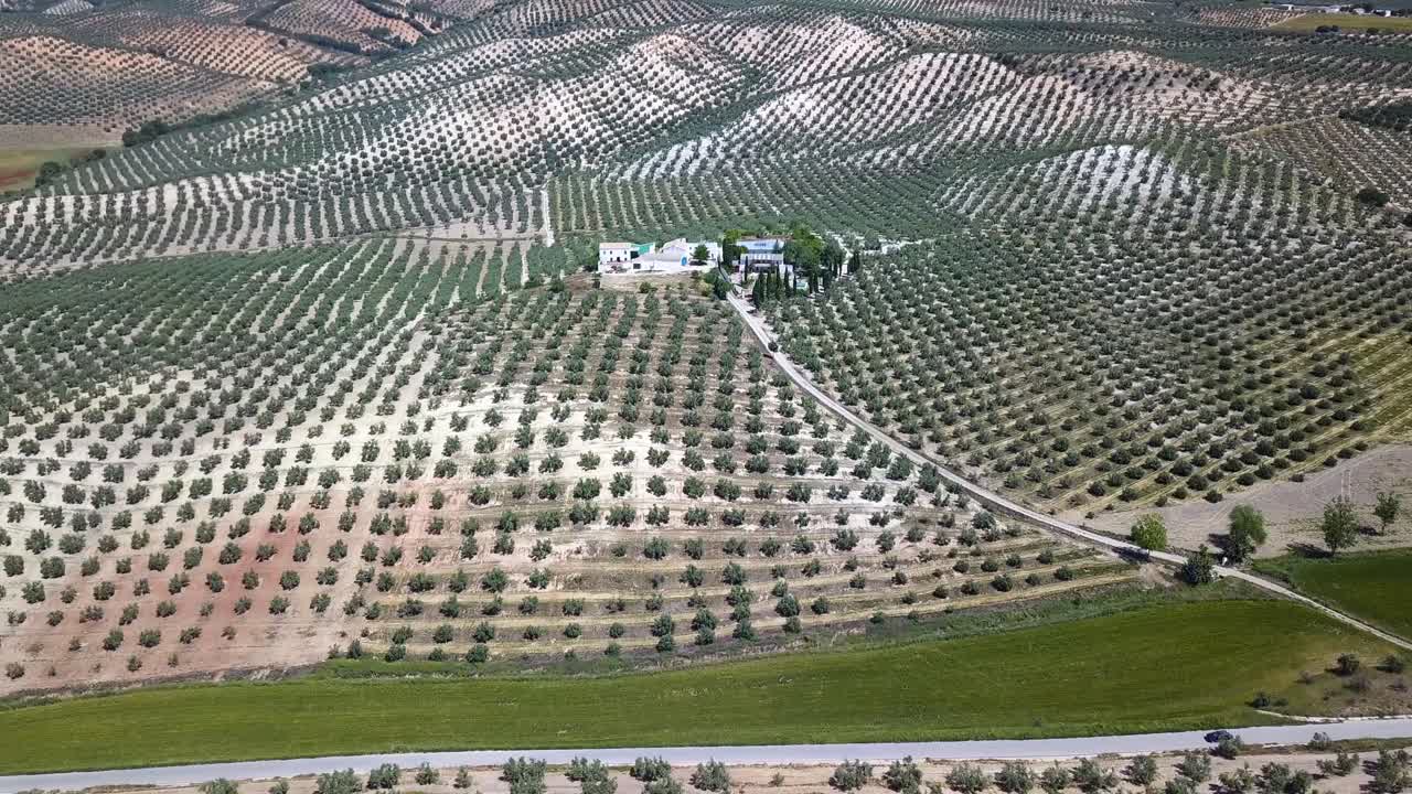 vista aérea de una finca rodeada de campos de olivos en el sur de españa