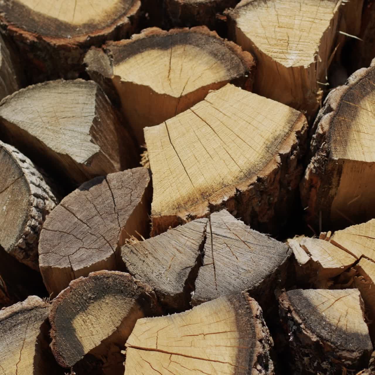 참나무 장작은 장작더미에서 건조된다