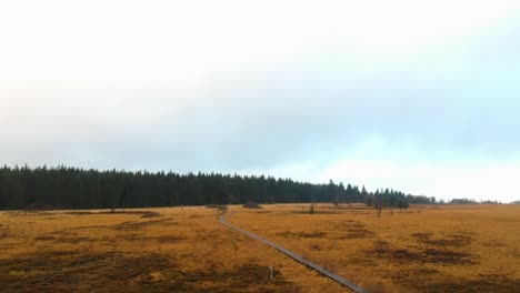 rising tilt down aerial marshland pathway road trail pine tree forest cloudy day