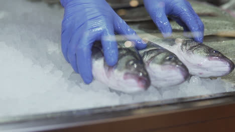 putting fish in shelve, slow motion 1080p