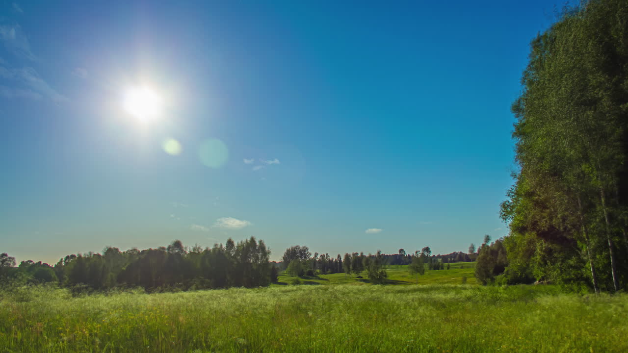 Awesome time-lapse of a summer day in the forest with a sun setting in the end