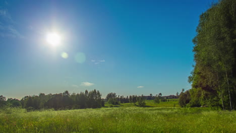 Toller-Zeitraffer-Eines-Sommertages-Im-Wald-Mit-Sonnenuntergang-Am-Ende