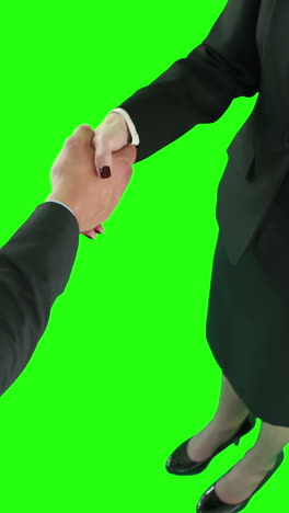 gente de negocios estrechando la mano.