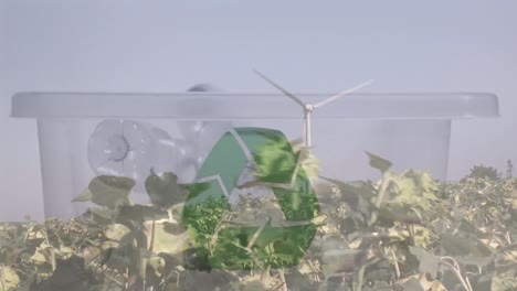 Animation-of-green-recycling-sign-over-box-with-plastic-bottles-and-wind-turbine