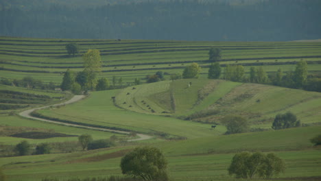 Stunning-shot-of-groomed-farmed-land-in-Romania