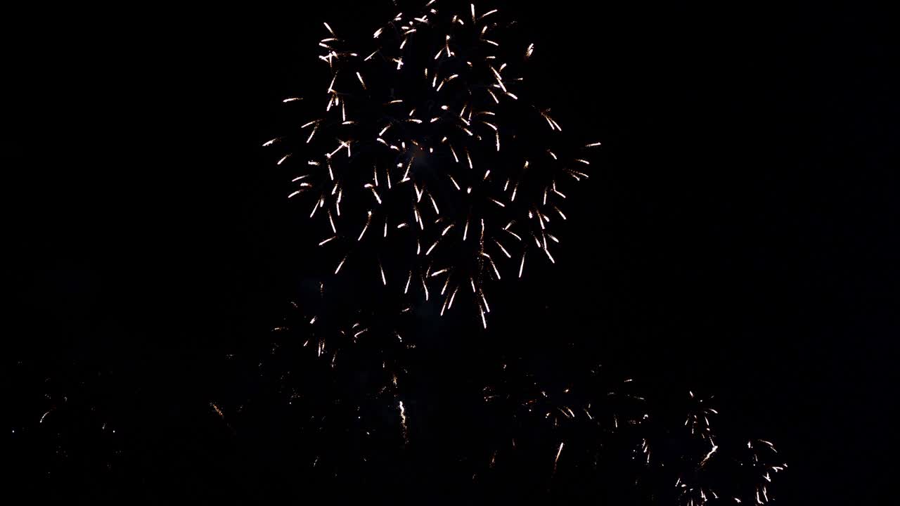 Bellissimo spettacolo pirotecnico colorato di notte per una celebrazione durante un festival.