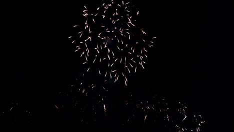 hermosa exhibición de trabajo de fuego colorido por la noche para la celebración en el festival