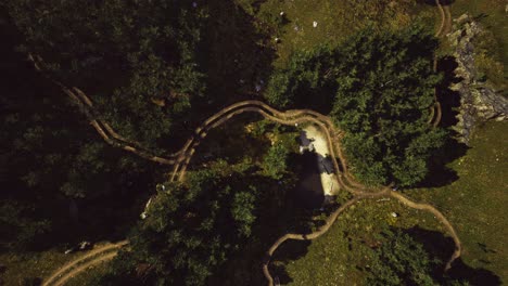 Aerial-view-of-the-road-through-the-forest