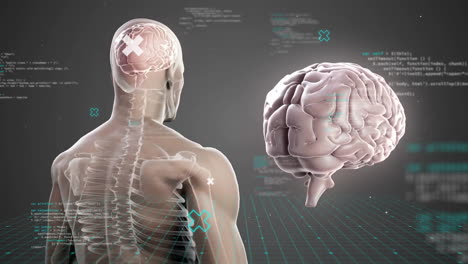 Animación-Del-Cerebro-Humano-Con-Cuerpo-Y-Procesamiento-De-Datos-Sobre-Fondo-Oscuro