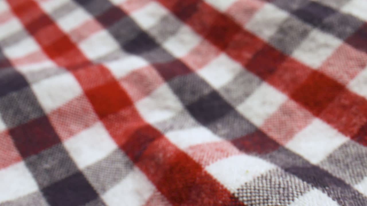 Close up slide over a red, white, and blue checked cotton shirt