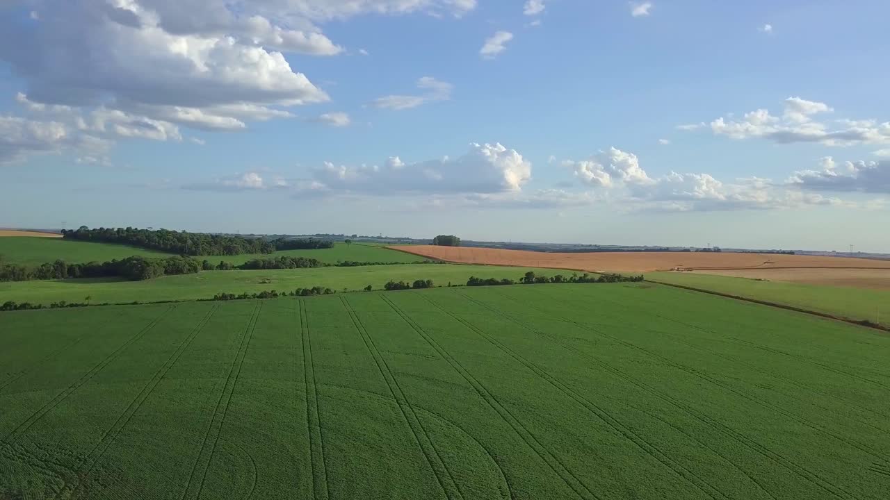 Soybeans fields in Brazil