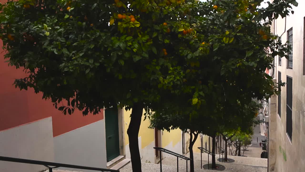 Inclinación cinematográfica que revela una calle escalonada de Lisboa bordeada de naranjos y pavimento tradicional de calçada portuguesa entre coloridos edificios residenciales.