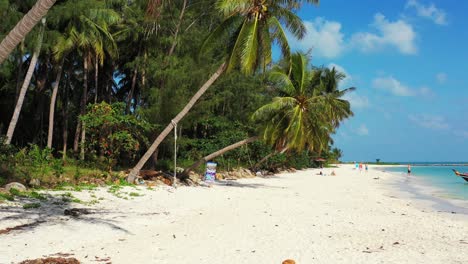 tranquil exotic beach under palm trees bent over white sand washed by calm clear water of sea on a bright blue sky background, thailand