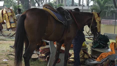 Wide-Shot-Of-Horse-Being-Decorated-For-Durbar