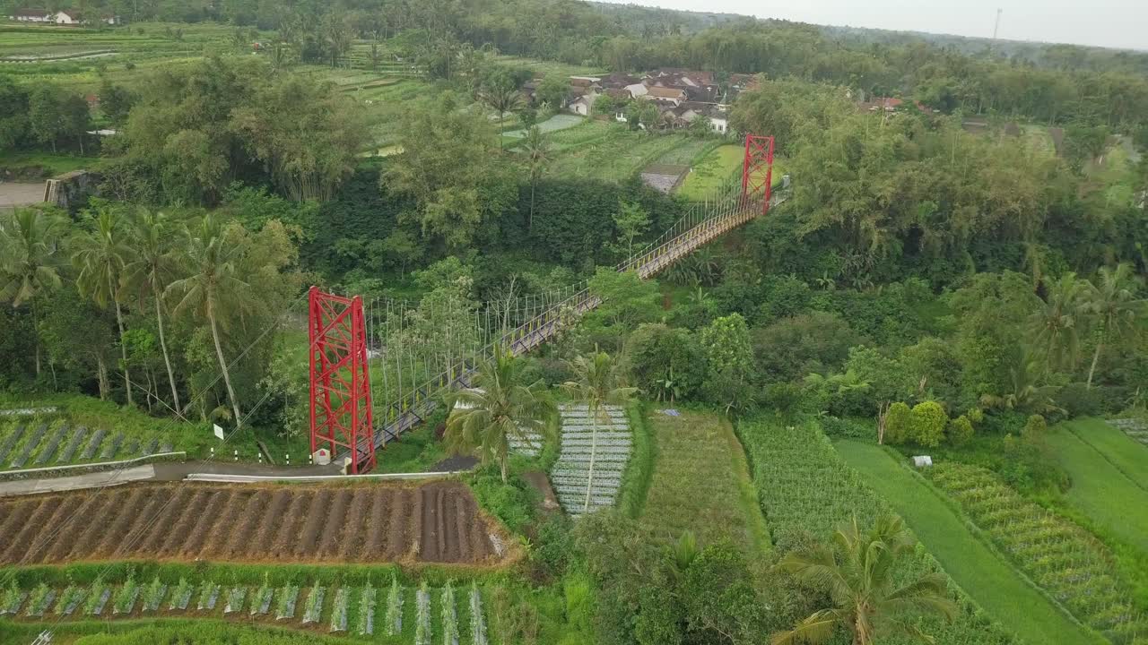 vista aérea que muestra el puente colgante en una zona tropical con plantaciones de hortalizas en el valle - puente jokowi, indonesia