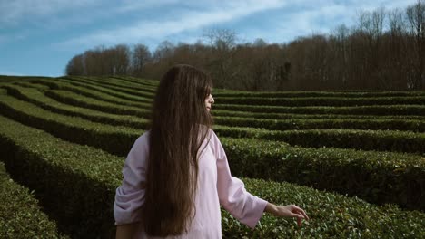 woman exploring a tea plantation