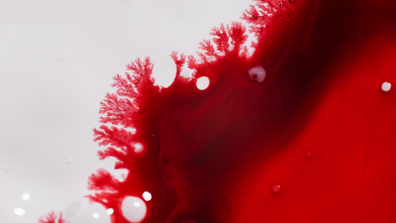 Bright Red Ink Diffusing In Liquid, Forming Branching, Coral-like Patterns Against White Background. abstract